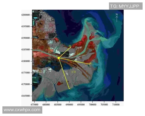 赛后分析：上海羽毛球队与北京羽毛球队灵活性对比探讨