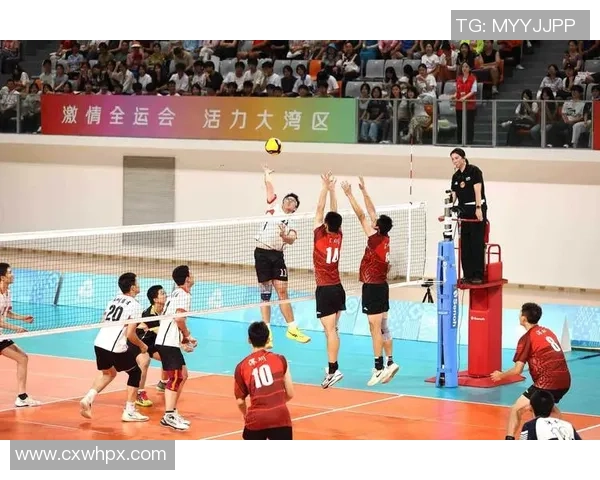 赛后分析：西安排球队与重庆排球队的战术配合与表现评估