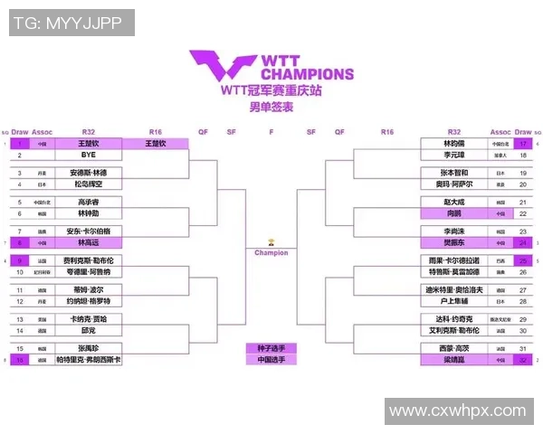 重庆乒乓球队在全国锦标赛中的强势表现与未来发展潜力分析