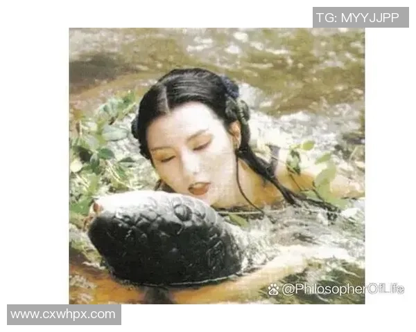 赵敏专访：从青涩小将到网球明星的成长之路与心路历程回顾