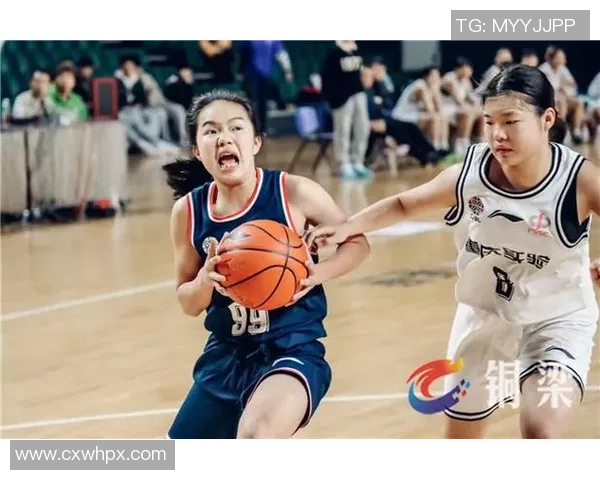 重庆篮球队在冠军赛中的战术分析与表现评估