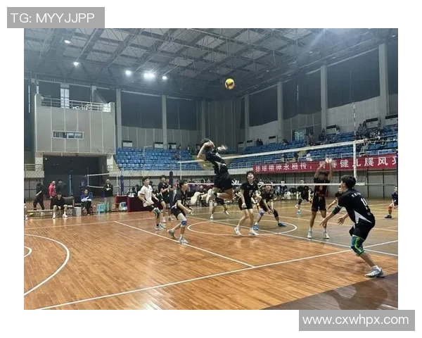 重庆排球队技术争议引发热议球迷与专家的观点碰撞解析