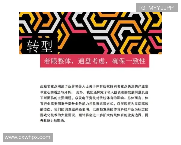 南京羽毛球队团队协作新模式探讨与热议推动竞技水平提升