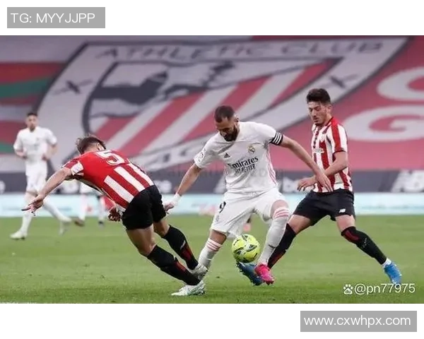 成都篮球队在欧锦赛中的团队协作表现分析与点评