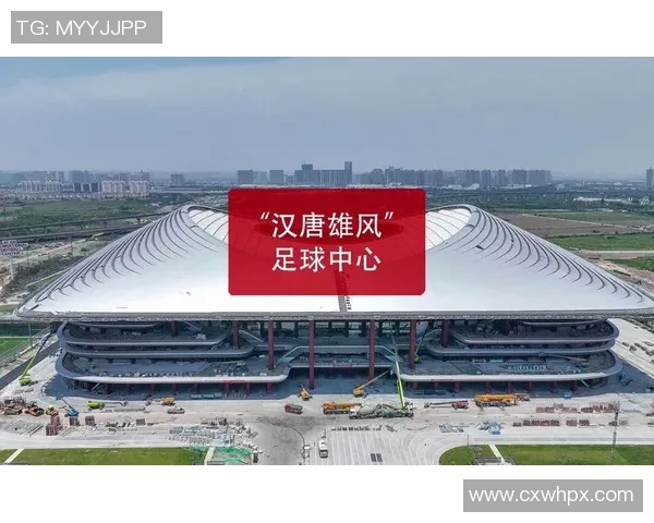 西安足球队的崛起与发展探秘：力量与未来的深度分析