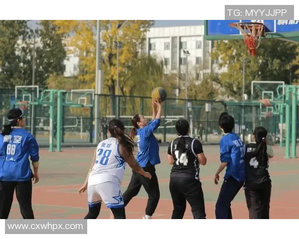 从街头到赛场：陈芳的篮球梦想与人生旅程